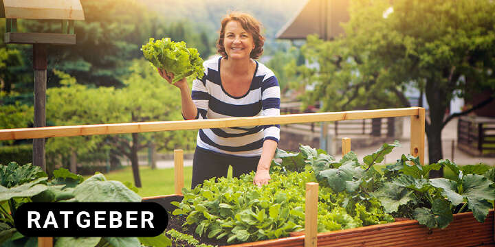 themenwelt titel hochbeet 1000x500